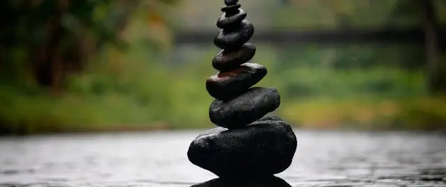 Meet Cheryl Murphy: Full-Stack Developer, lifelong learner, and volunteer Project Team Lead at Web Dev Path